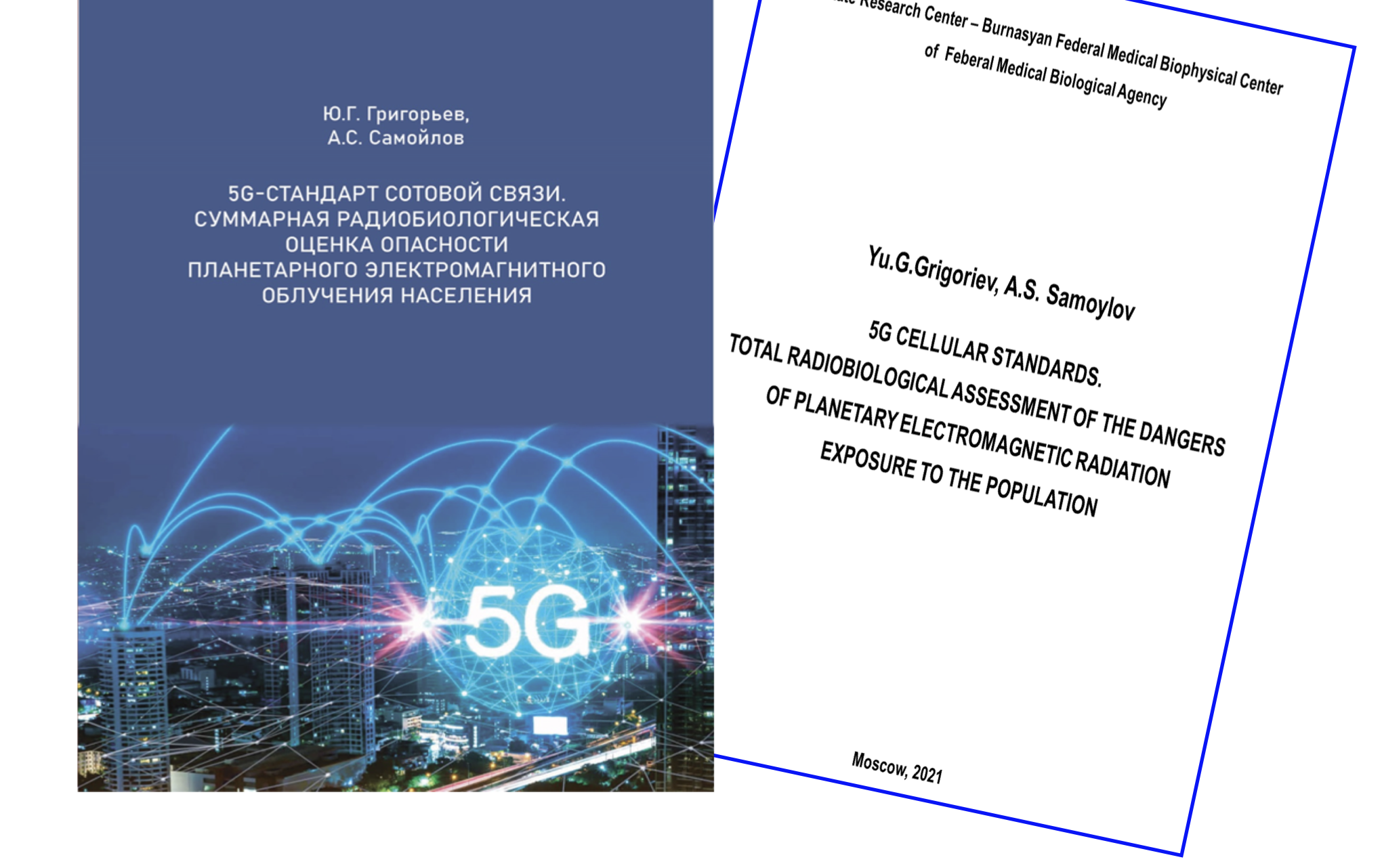 Yuri Grigoriev's 5G Book