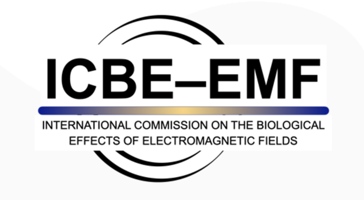 ICBE-EMF
